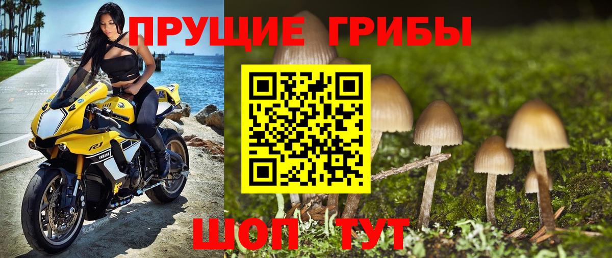 Галлюциногенные грибы мухоморы Елец