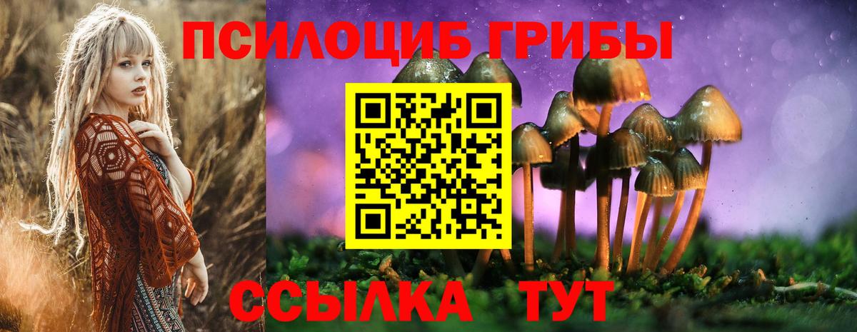 Галлюциногенные грибы прущие грибы  Псилоцибиновые грибы Psilocybine cubensis  Вход с VPN  Елец 